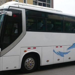 mini_bus Autobús despedidas León