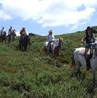 ruta-caballo-leon-1 Ruta a caballo despedidas en León