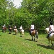 ruta-caballo-leon-4 Ruta a caballo despedidas en León